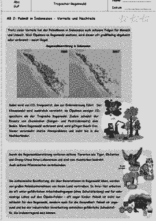 Vorschau Seite 4