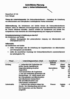 Vorschau
