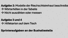 Vorschau Seite 17