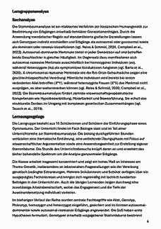 Vorschau Seite 4