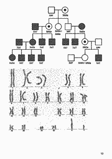 Vorschau Seite 12