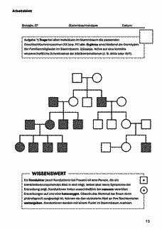 Vorschau Seite 13