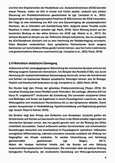 Vorschau Seite 6