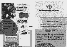 Vorschau Seite 6