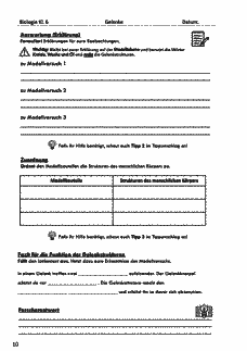 Vorschau Seite 10