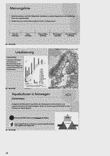 Vorschau Seite 24