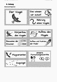 Vorschau Seite 13