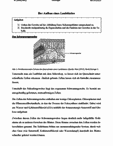 Vorschau Seite 5