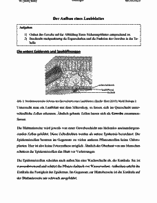 Vorschau Seite 6