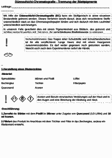 Vorschau Seite 1
