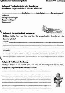 Vorschau Seite 10