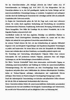 Vorschau Seite 7
