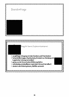 Vorschau Seite 19