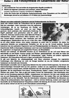 Vorschau Seite 1
