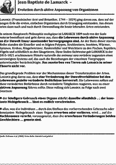 Vorschau Seite 1