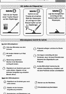 Vorschau Seite 1