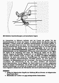 Vorschau Seite 2