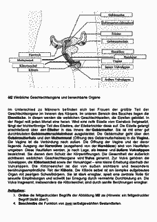 Vorschau Seite 2