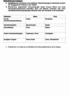 Vorschau Seite 3