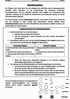 Vorschau Seite 1