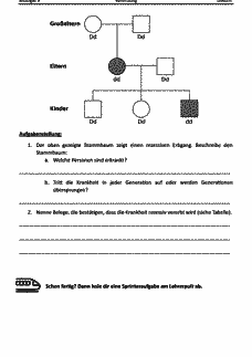 Vorschau Seite 2