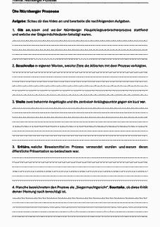 Vorschau Seite 1