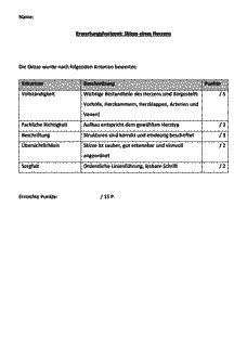 Vorschau Seite 2