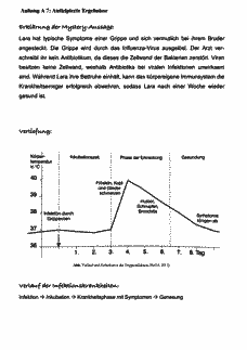 Vorschau Seite 21