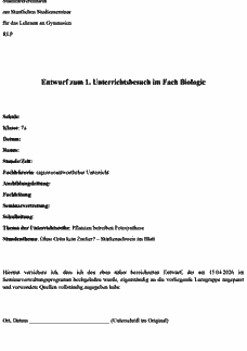 Vorschau Seite 1