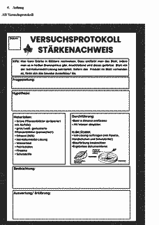 Vorschau Seite 12