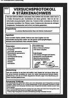 Vorschau Seite 13