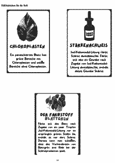 Vorschau Seite 14