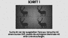 Vorschau Seite 17
