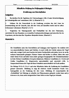 Vorschau Seite 1