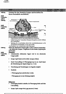 Vorschau Seite 7