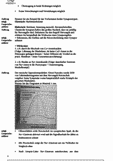Vorschau Seite 8