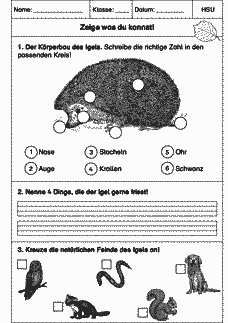 Vorschau Seite 1