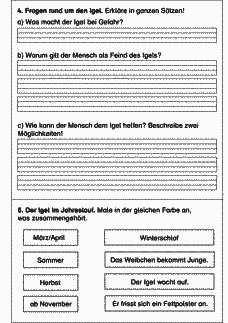 Vorschau Seite 2