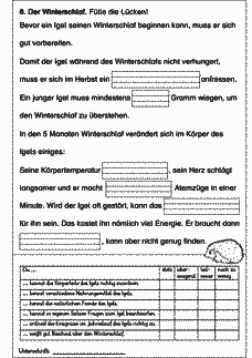 Vorschau Seite 3