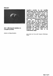 Vorschau Seite 5