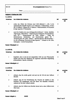 Vorschau Seite 6