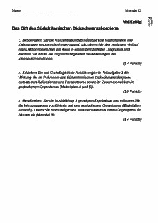 Vorschau Seite 1