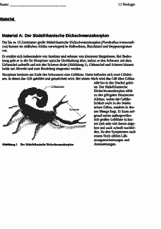 Vorschau Seite 2