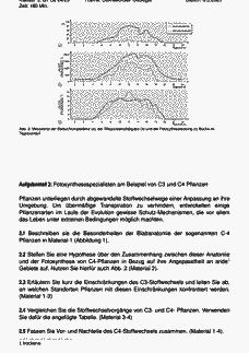 Vorschau Seite 3