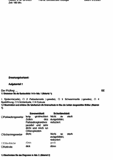 Vorschau Seite 6