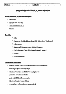 Vorschau Seite 1