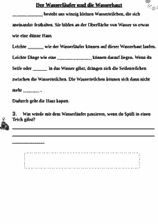 Vorschau Seite 13