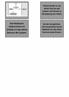 Vorschau Seite 4