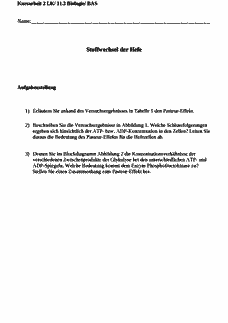 Vorschau Seite 1