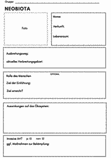 Vorschau Seite 1